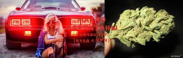 прущие крисы Арсеньев