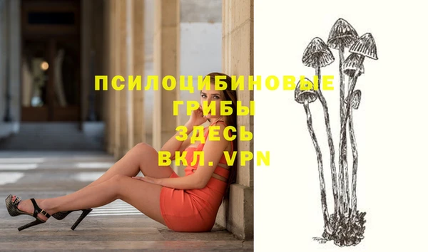 стафф Аркадак
