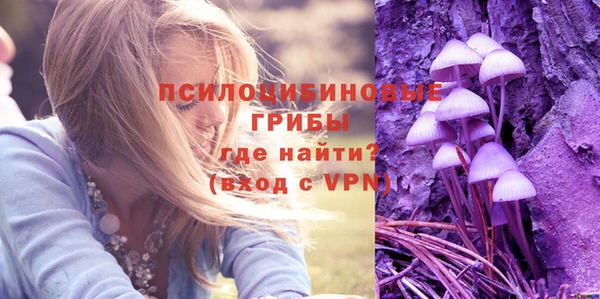 прущие крисы Арсеньев