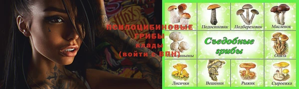 трава Армянск