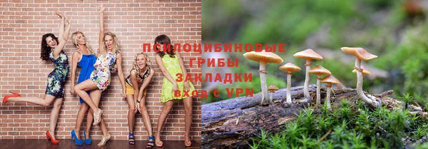 трава Армянск